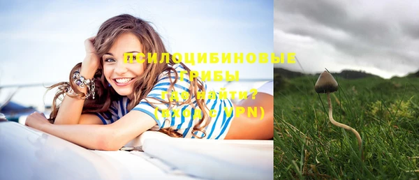 кристаллы Козельск