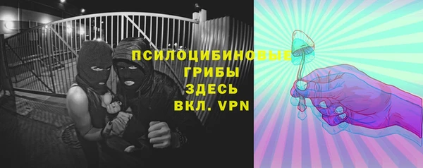 прущий лед Козловка