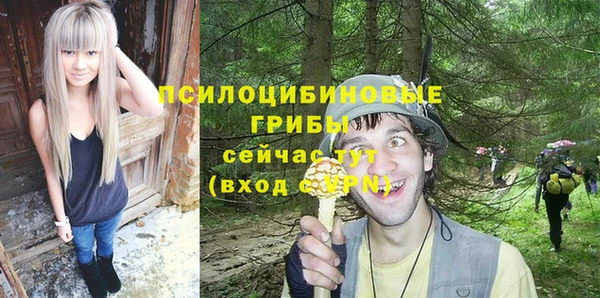 кристаллы Козельск
