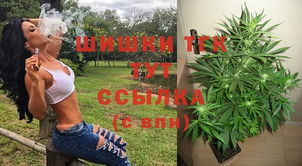 прущий лед Козловка