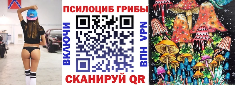 Купить где  Калуга  Галлюциногенные грибы Magic Shrooms 